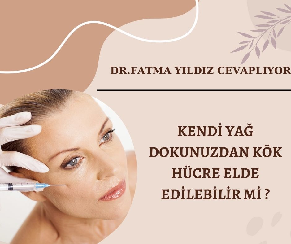 Kendi /Yağ Dokunuzdan/ Kök Hücre/ Elde Edilebilir Mi ?