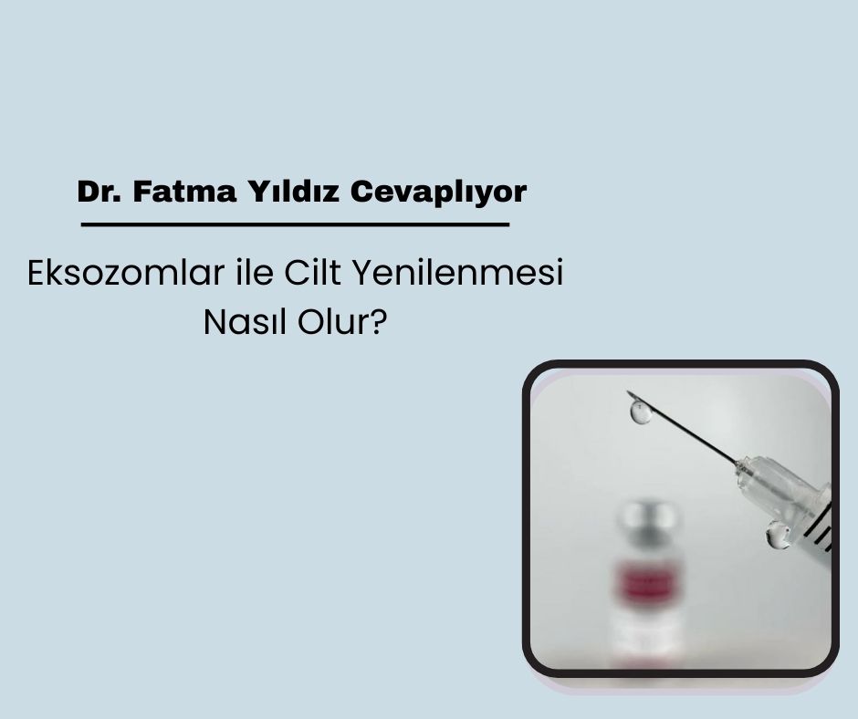 Eksozomlar ile Cilt Yenilenmesi  Nasıl Olur?
