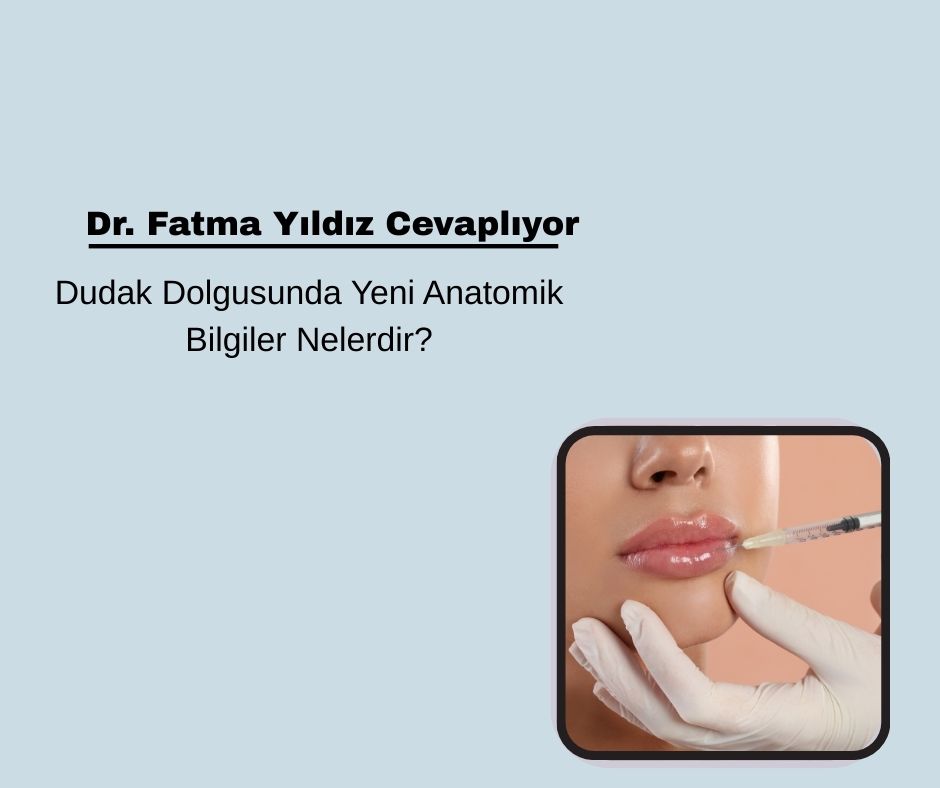 Dudak Dolgusu Yeni Anatomik Bilgiler Nelerdir?